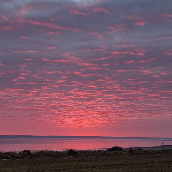 Meet your Posher - Picture 1 of 1